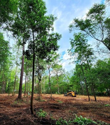 Forestry-Mulching-Jacksonville-Fl (4)